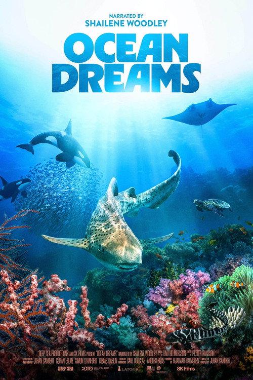 Ocean Dreams